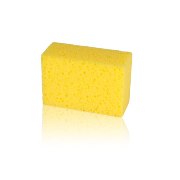 Sponge Small